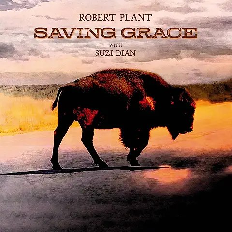 Robert Plant Saving Grace album cover featuring silhouette of buffalo against sunset sky, promoting new album with Suzi Dian and Its a Beautiful Day Today video.